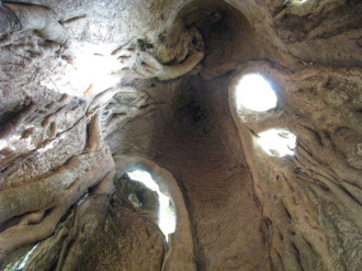 03 Interieur Creux Du Baobab